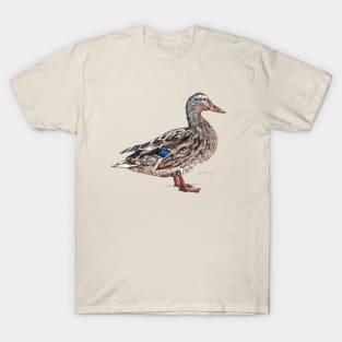 Mallard Duck - Female T-Shirt